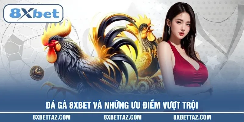 Đá gà 8XBET và những ưu điểm vượt trội