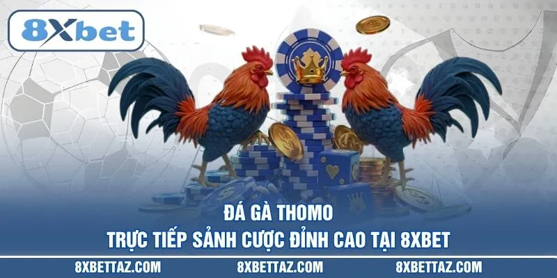 Đá gà Thomo – Trực tiếp sảnh cược đỉnh cao tại 8XBET